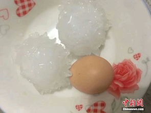 北京冰雹比鸭蛋还大 北京冰雹比鸭蛋还大
