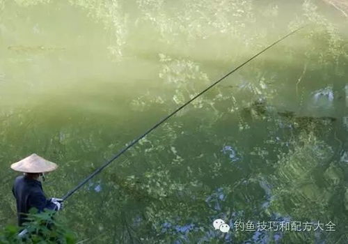 乌鲁木齐汽车称重多少(乌鲁木齐汽车称重,从基础到应用的重要性) 乌鲁木齐汽车称重多少(乌鲁木齐汽车称重,从基础到应用的重要性)