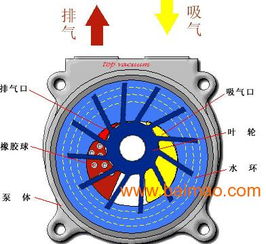 汽车真空泵会响吗多少钱(汽车真空泵的工作原理及其价格探讨,会响吗?多少钱? 汽车真空泵会响吗多少钱(汽车真空泵的工作原理及其价格探讨,会响吗?多少钱?