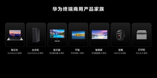 两个华为电脑怎么共享(华为电脑间无缝共享,实现高效协同工作的秘诀) 两个华为电脑怎么共享(华为电脑间无缝共享,实现高效协同工作的秘诀)