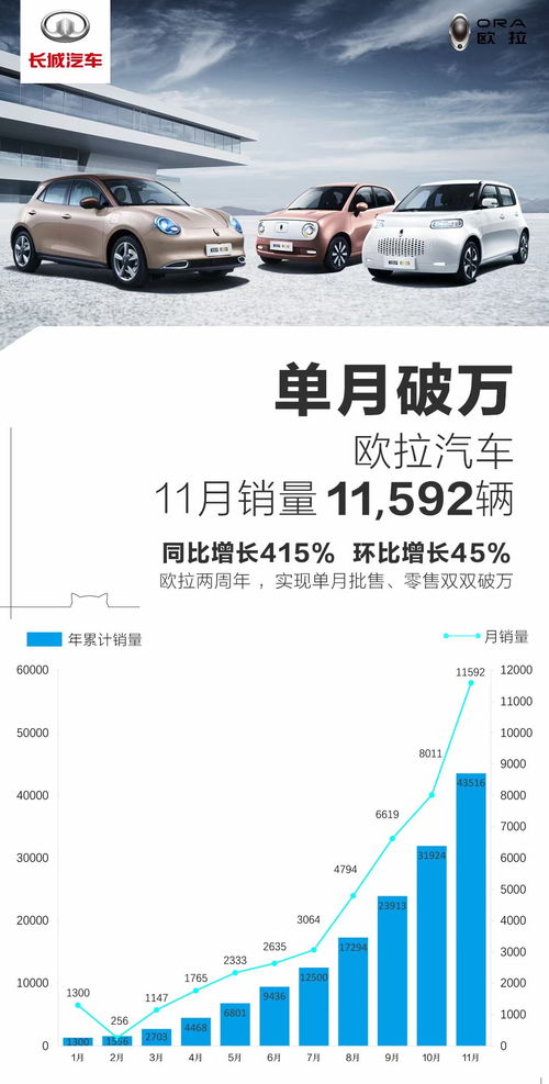 漳平到宁德汽车票多少钱(漳平到宁德汽车票价详解，费用、时间与路线)