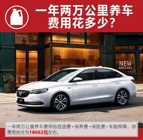 青能汽车多少钱一个(青能汽车价格解析，究竟多少钱一个？