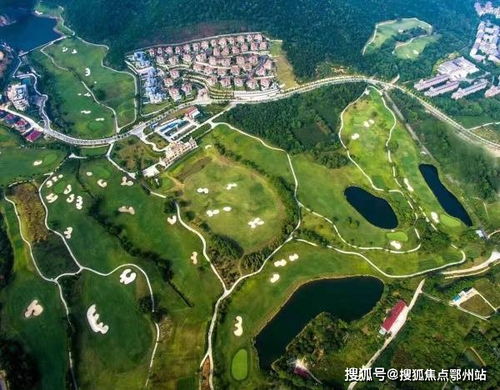 上蔡到义乌汽车站多少钱(上蔡到义乌汽车站的价格解析)
