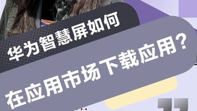 华为视频电脑怎么下(华为视频电脑下载指南)