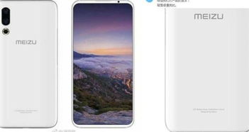华为手机怎么拍花清晰 华为手机怎么拍花清晰