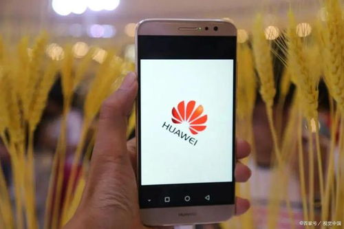 华为手机彩屏怎么解决 华为手机彩屏怎么解决