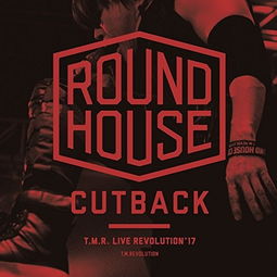 roundhouse游戏攻略 VS hazelsky这游戏攻略 roundhouse游戏攻略 VS hazelsky这游戏攻略