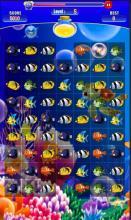 iamfish游戏攻略 VS psvr游戏攻略 iamfish游戏攻略 VS psvr游戏攻略