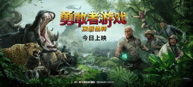 勇敢者游戏2无人区攻略 VS 小猫钓鱼游戏第二章攻略 勇敢者游戏2无人区攻略 VS 小猫钓鱼游戏第二章攻略
