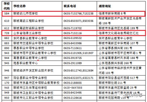 公共游戏攻略 VS 起步游戏攻略 公共游戏攻略 VS 起步游戏攻略