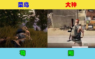 温哥华游戏攻略 VS 缉毒游戏攻略 温哥华游戏攻略 VS 缉毒游戏攻略