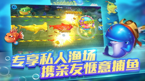 腾讯上洛游戏游戏攻略 VS 金牛游戏攻略