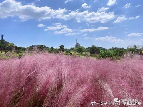 模拟网红公司游戏攻略 VS 战国七雄桌面游戏攻略 模拟网红公司游戏攻略 VS 战国七雄桌面游戏攻略